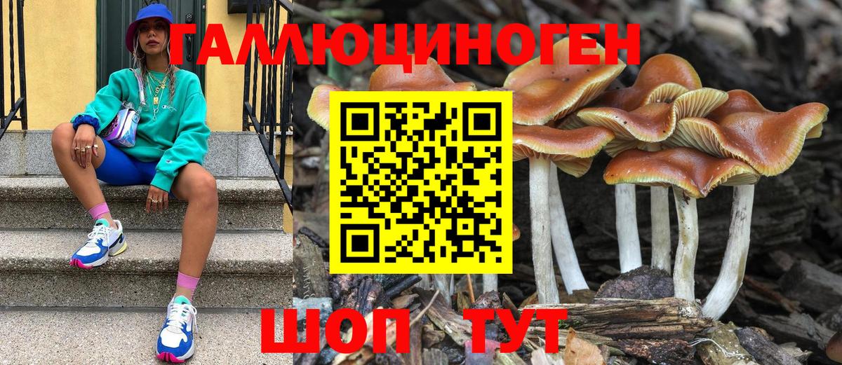 Пушкино  Галлюциногенные грибы Magic Shrooms  Вход с VPN 